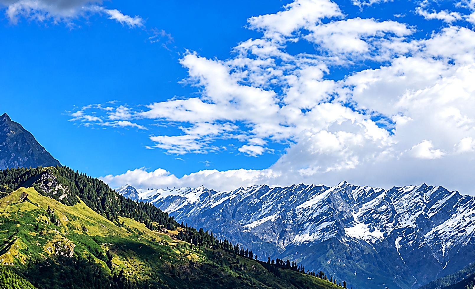 Snow-capped Himalayan peaks above green alpine slopes