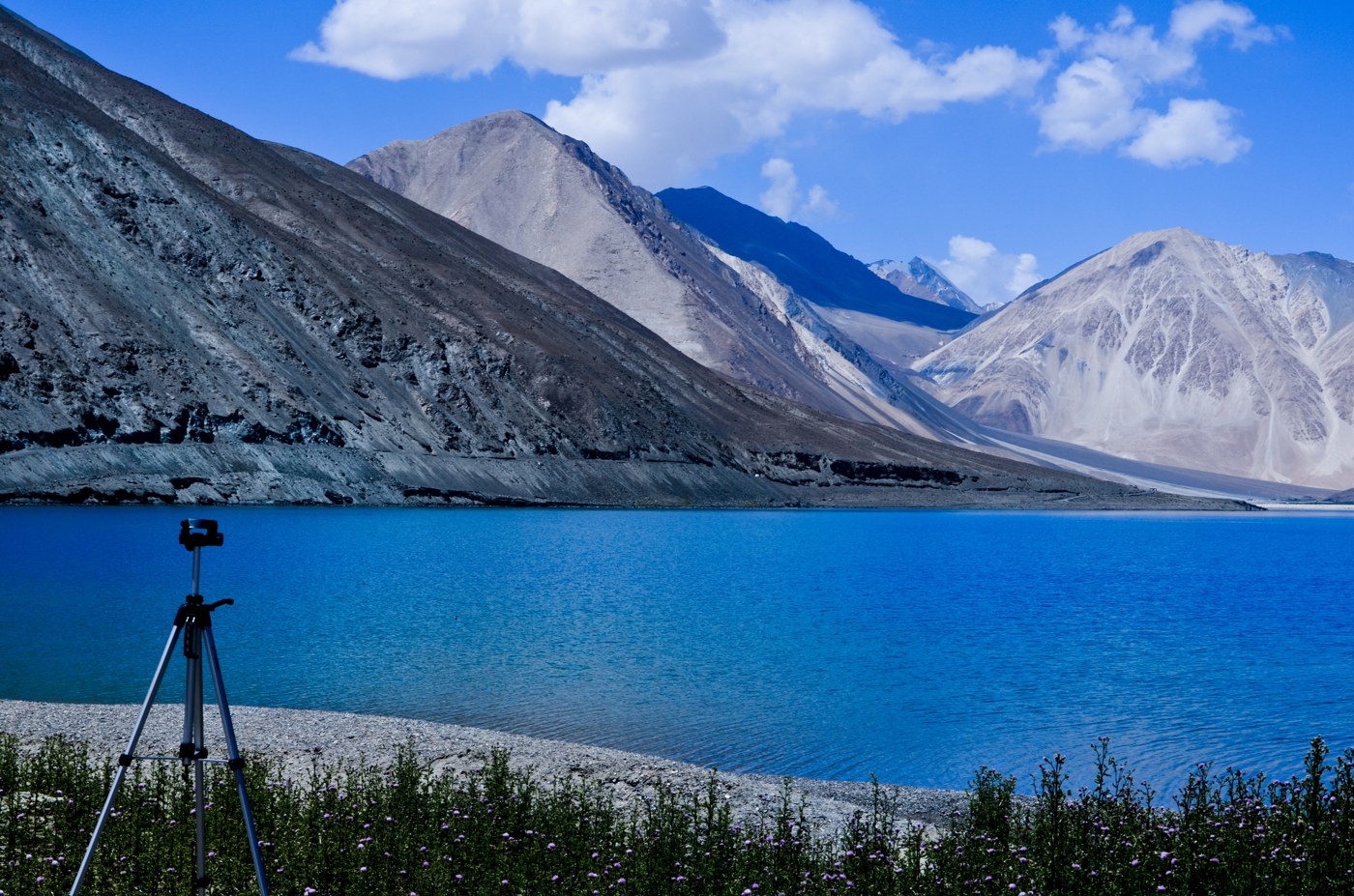 Blue Pangong Tso lake surrounded by mountains in Ladakh